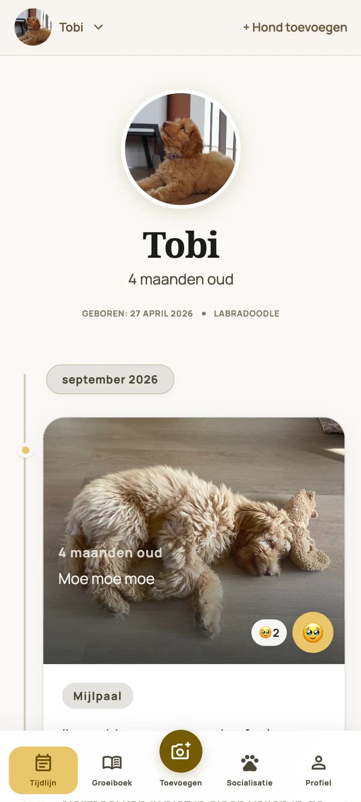PuppySteps-app met een persoonlijke tijdlijn voor een pup